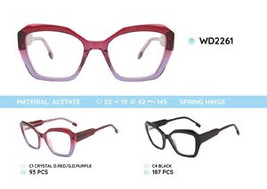 Plastic acetate eyeglasses frame with spring hinges WD2261