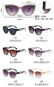 PC plastic sunglasses with metal hinge 5181W