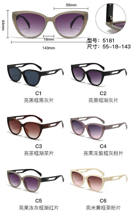 PC plastic sunglasses with metal hinge 5181W