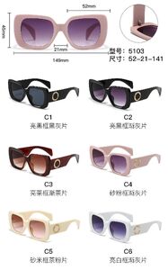 PC plastic sunglasses with metal hinge 5103W