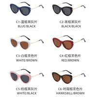 Plastic frame with flex + polarized sun protection magnet clip-on El Dorado EL2352D