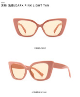 Sunglasses Elit in retro style cat eye 4076