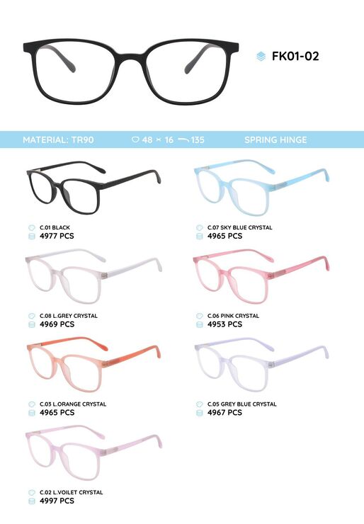 TR90 plastic eyeglasses frame FK01-02