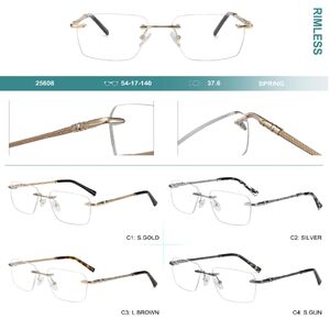 Оправа металлическая безободковая с флексом Big City 25608