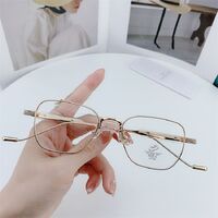 Оправа металлическая, линзы с Blue Block покрытием SANTA 0919