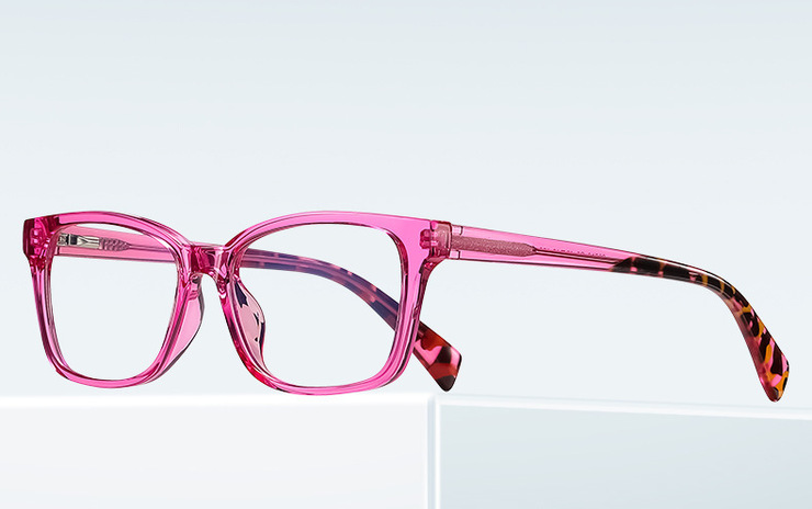 Plastic frames for glasses TR90+CA material (flex hinges) FOCUS FCS20216