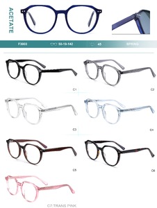 Acetate plastic frames for glasses with spring hinges Big City F3003