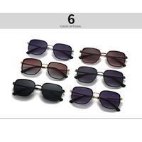 Metal retro sunglasses Elit 2439-EL