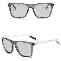 Очки фотохромные поляризационные A387