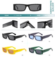 Polarized acetate plastic sunglasses Big City HS2845