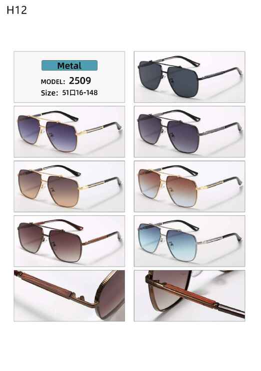 Polarized metal sunglasses H12 Matrix MT2509