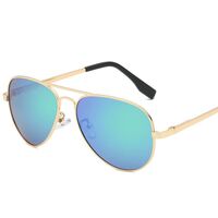 Polarized metal sunglasses with UV400 protection 3025L-2-GT