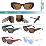 Поляризационные солнцезащитные пластиковые очки из материала ацетат Big City HS2856