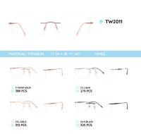 Titanium frames TW2011