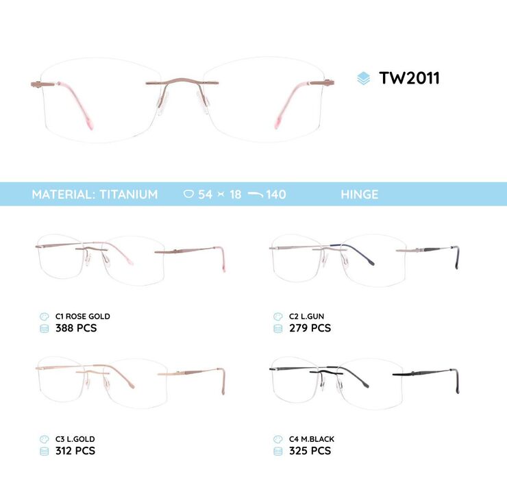 Titanium frames TW2011