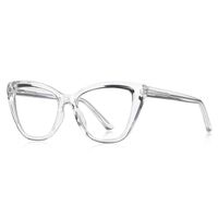 Plastic TR90 frames for glasses with Blue Ray Cut protection and flex hinges FOCUS FCS2148
