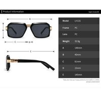 Plastic retro sunglasses for men Elit 131-EL
