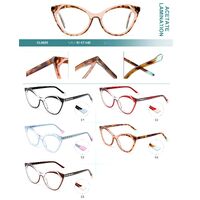 Plastic frames for glasses, acetate lamination with spring hinges Big City CL9025