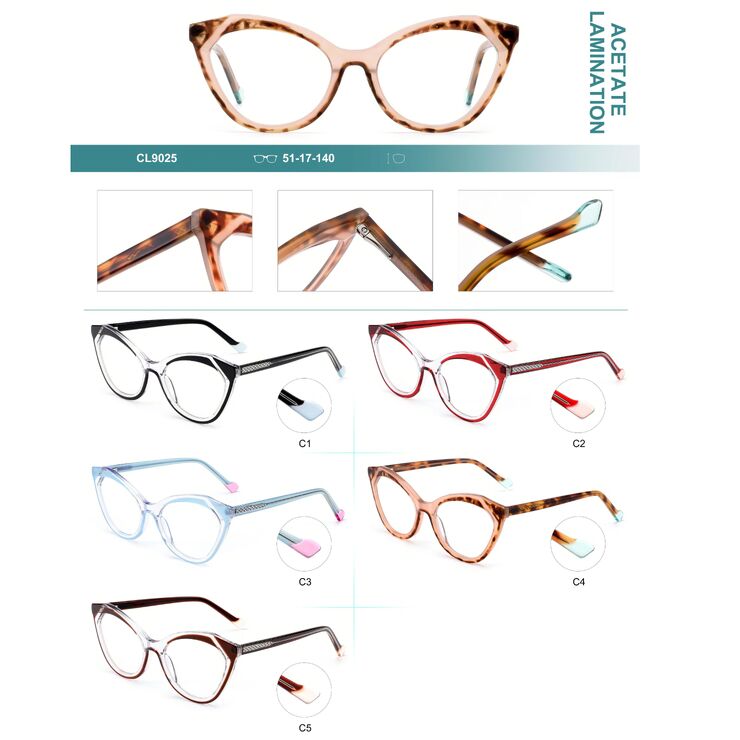 Plastic frames for glasses, acetate lamination with spring hinges Big City CL9025