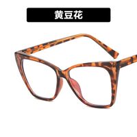 Plastic TR90 glasses with blue light protection for women TR5009-PN