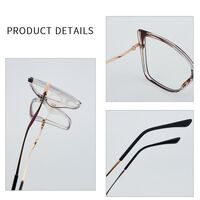TR90 plastic frame or glasses with blue light protection, with spring hinges FA87116