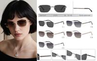 Rimless polarized metal sunglasses with nylon lenses Eberhard EH21070