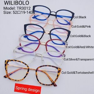 Metal +TR90 ultrathin frames with flex hinges Wilibolo TR3012