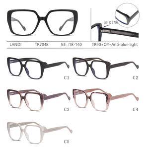 Protective plastic TR90+CP glasses with anti-blue light lenses with spring hinges Landi LD-TR7048