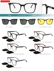 Plastic acetate frame with flex hinges + polarized clip-on Big City F3022S