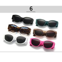 Plastic cat-eye sunglasses for women Elit 9181-EL
