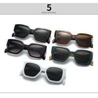 Plastic retro sunglasses Elit 9155-EL