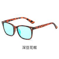 Очки пластиковые с защитой от синего света Blue Block для дальтоников, с футляром KY8082-6直板色盲