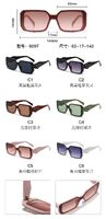 PC plastic sunglasses with metal hinge 6097W