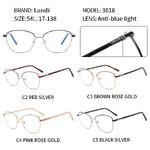 Очки защитные металлические с антибликовым покрытием Landi LD3018