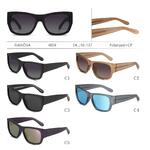 Polarized plastic sunglasses Rianova R4009