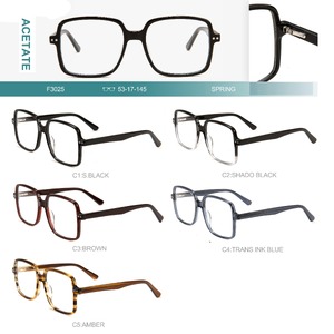 Acetate plastic frames for glasses with spring hinges Big City F3025