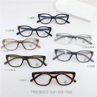 TR90 plastic frame with Blue Block coating SANTA TR23022