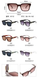 Солнцезащитные пластиковые очки из поликарбоната с металлическим шарниром 6113W