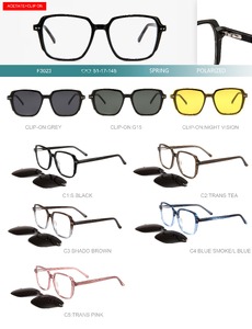 Plastic acetate frame with flex hinges + polarized clip-on Big City F3023S