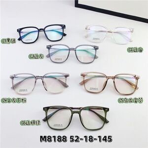 Hybrid metal + TR90 frame SANTA M8188