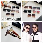 Polarized metal + TR90 sunglasses P05KY 2910