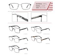 Metal frame with spring hinges LE6200-DA