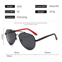 Polarized metal sunglasses with UV400 protection 2923-GT