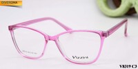 Plastic frames for glasses VIZZINI V8319