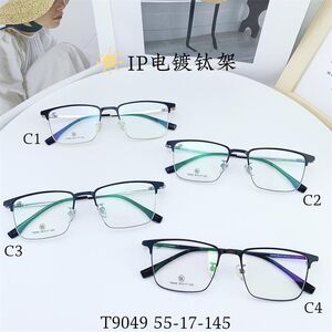 Titanium frame SANTA T9049