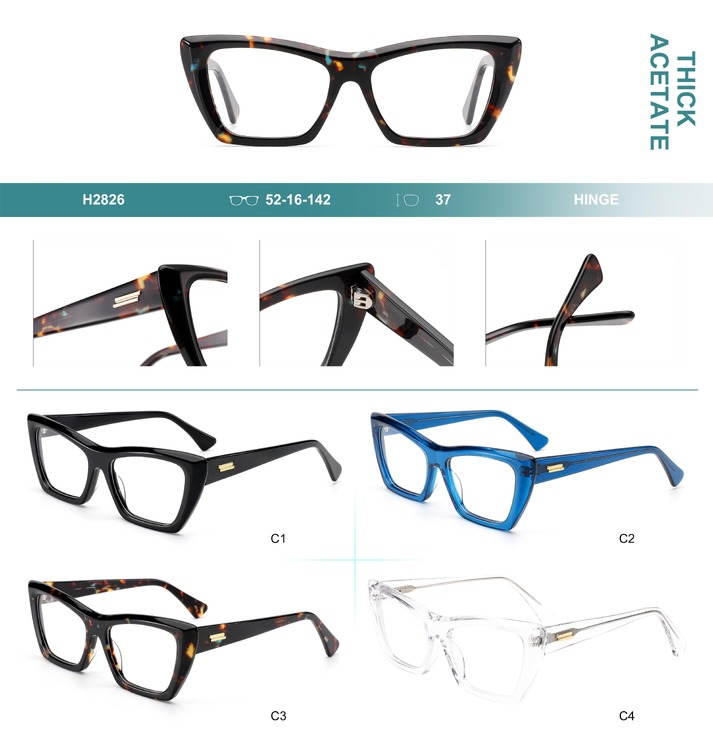 Plastic frames for glasses, thick acetate Big City H2826
