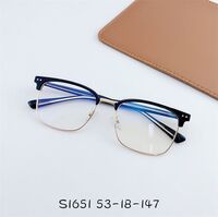 Hybrid frame, metal +tr90, with Blue Block protection SANTA S1651