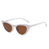 Plastic frame with flex + polarized sun protection magnet clip-on El Dorado EL2351D