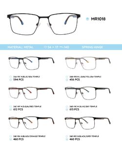 Металлическая оправа с дужками из материала TR-90 со встроенным флексом MR1018