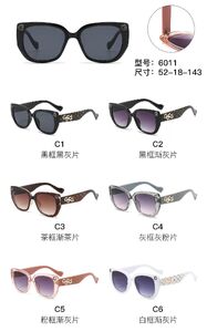 PC plastic sunglasses with metal hinge 6011W